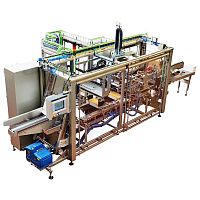 Wrap-around case tray packer CM/TPautomaticfor the food industrycontinuous-motion