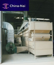 Seed sorting system
