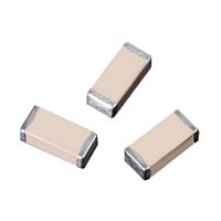 Ceramic capacitor NMC-AP seriespolymerchipfilter