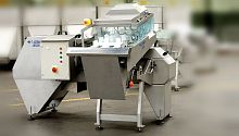 Fish eviscerator machine automatic