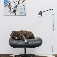Contemporary wall light CHAPLINindoorbrasssteel