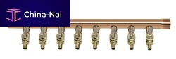 Multi-channel manifold WPCM1brass