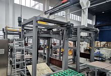 High level infeed palletizer palletautomatic