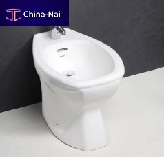 Porcelain bidet HINDWARE: CONSTELLATION